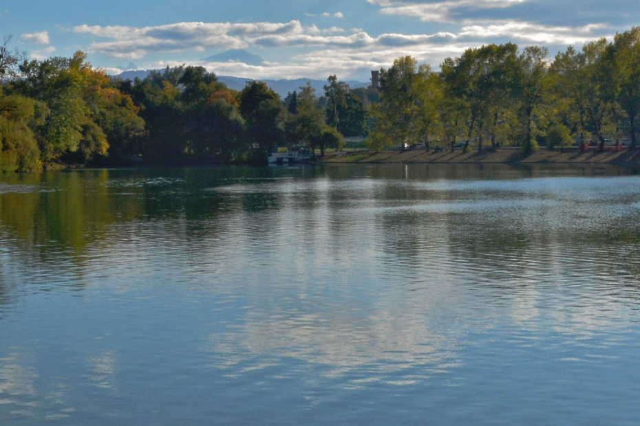    Shutterstock/FOTODOM