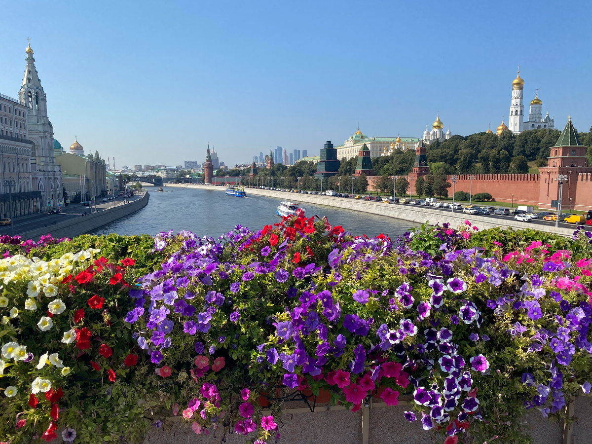 Август 2024 года... Фото автора