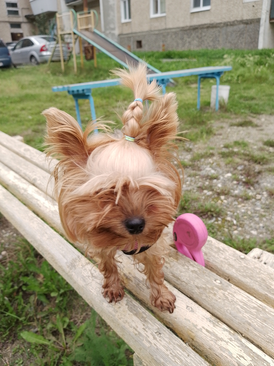 Утром у меня такая аккуратненькая прическа