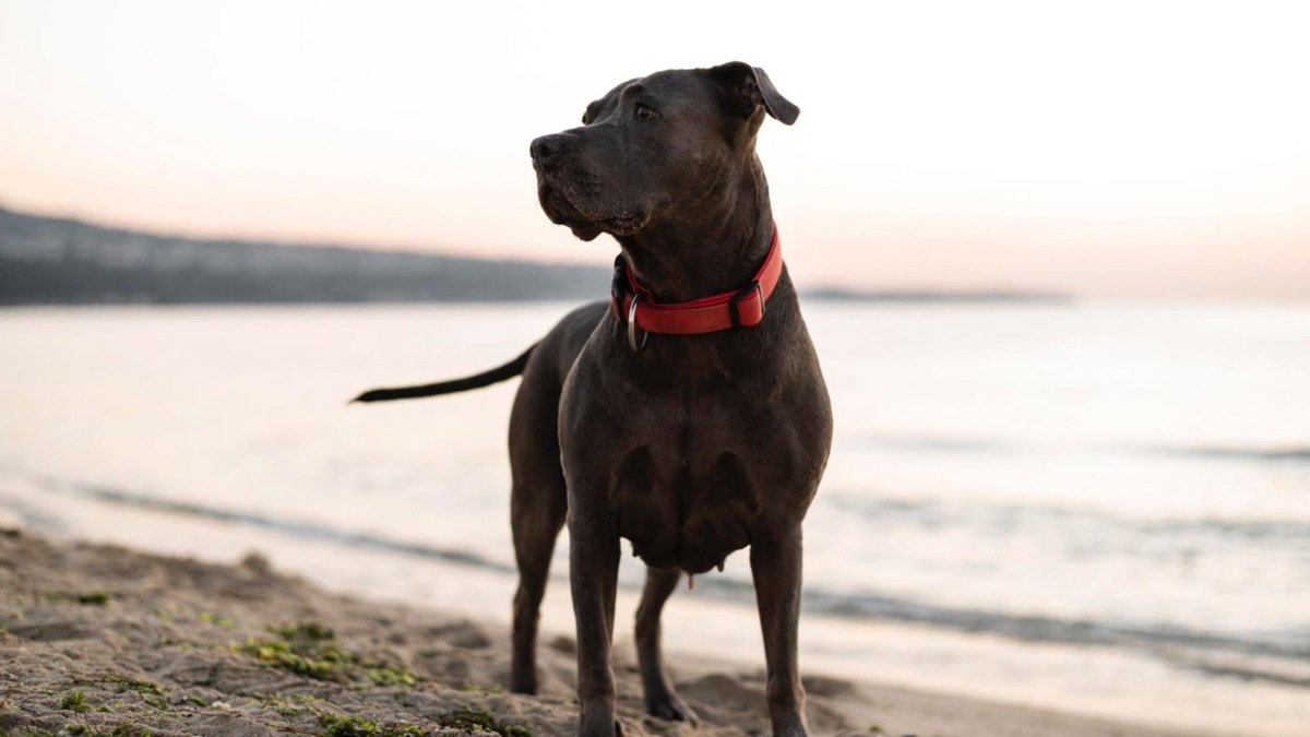    Здоровье и комфорт важнее внешности.