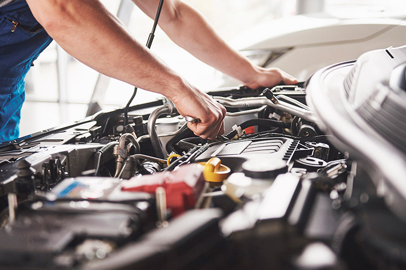    Shutterstock/FOTODOM