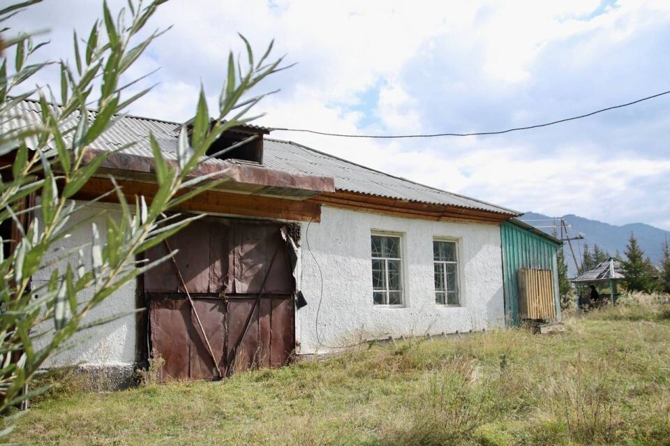    Андрей Турчак в Акташском участковом лесничестве. Источник: t.me/turchak_andrey