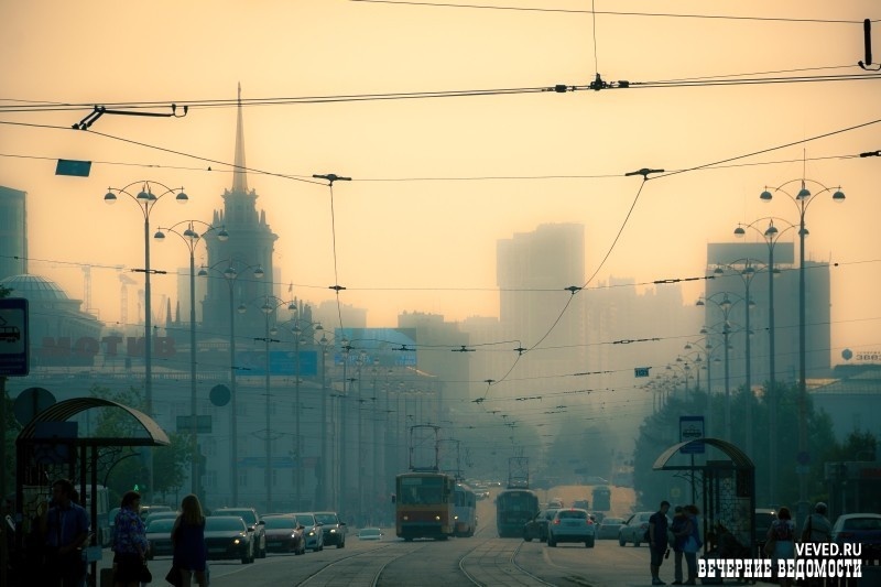     Фото: Вечерние Ведомости