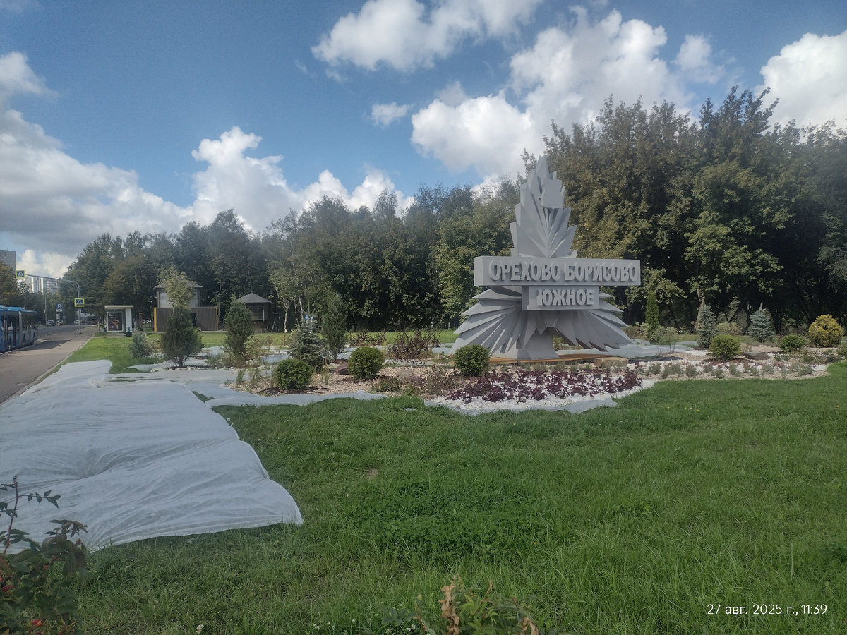 У метро Зябликово.