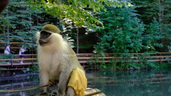    © Администрация Ялты