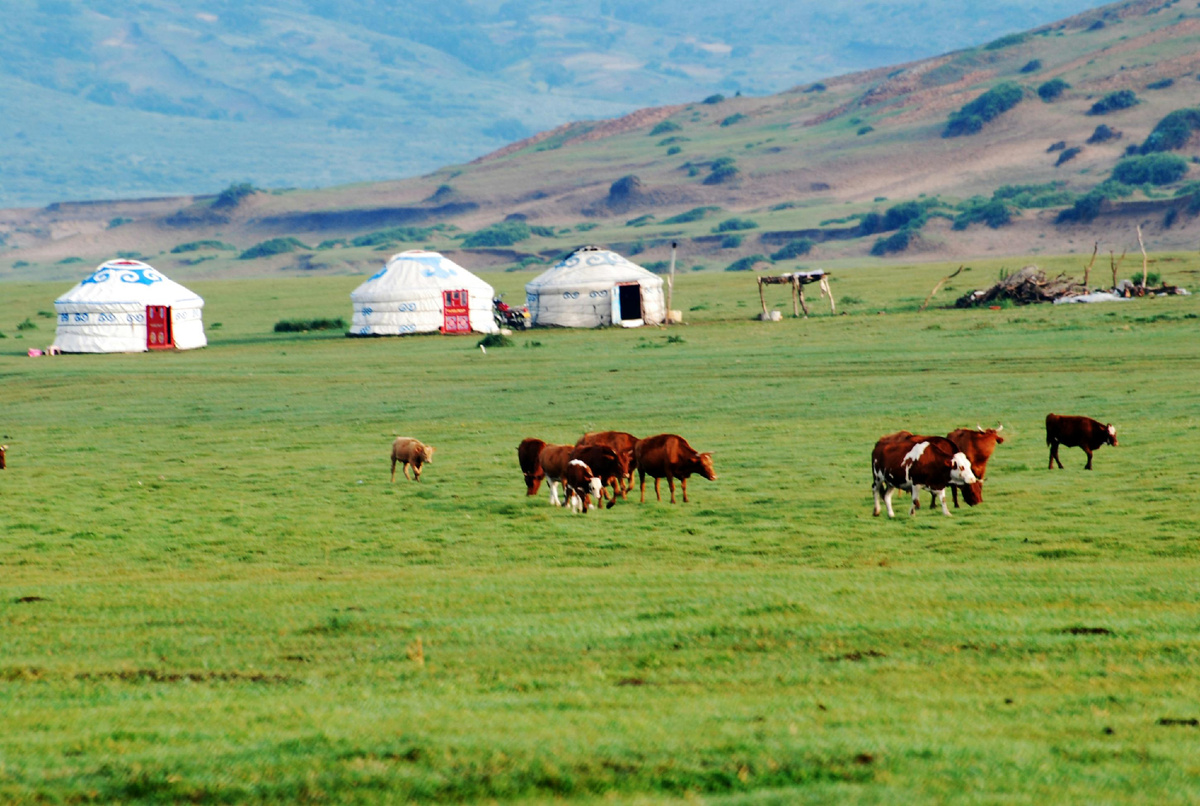 Автор фото Lovesa Chang на pexels.com