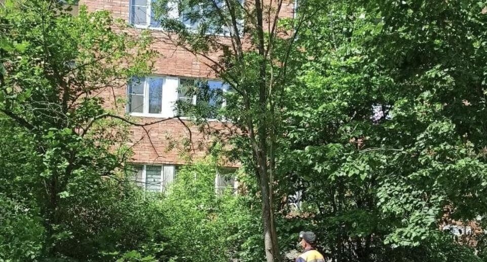    Министерство по содержанию территорий и государственному жилищному надзору