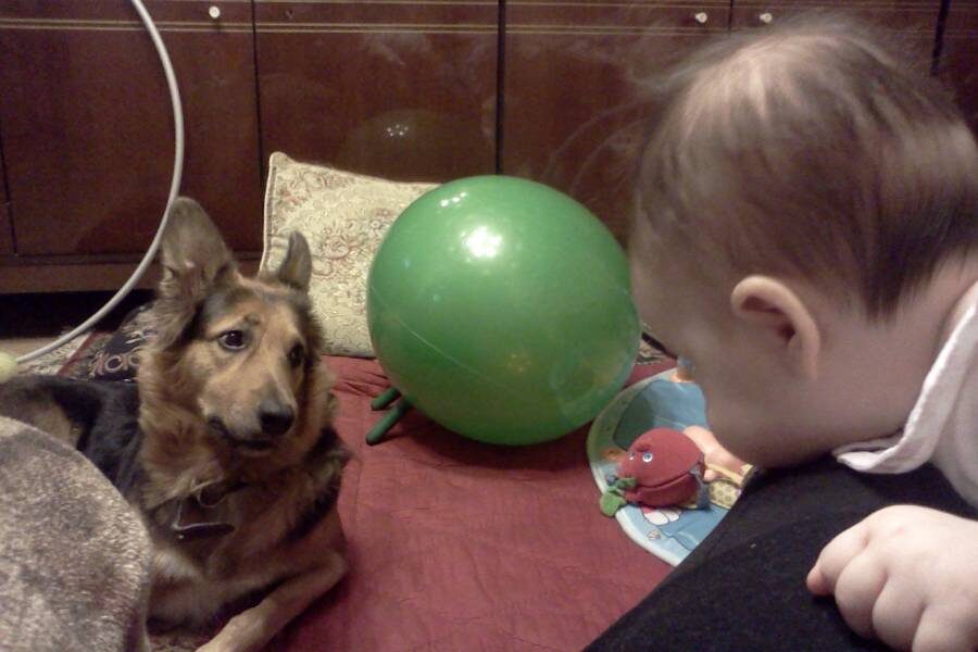 Гера
Фото: из личного архива