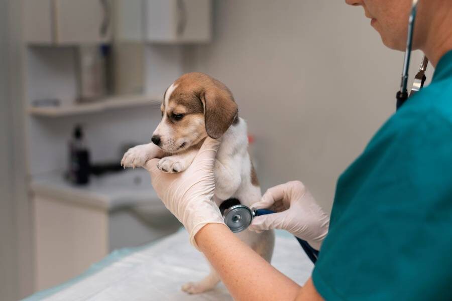 Фото: Freepik.com