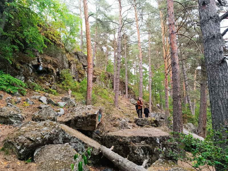    Федеральным журналистам показали, на чем стоит Карелия"Фактор Новости"