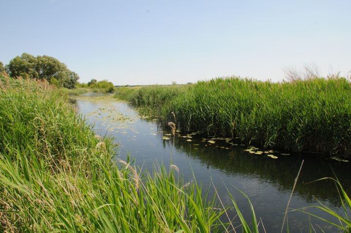    Фото: Александр Зинченко