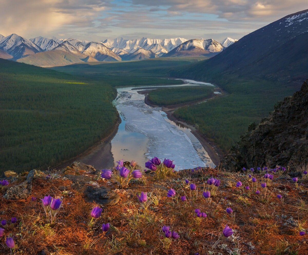 "Замученный дорогой
Я выбился из сил
И в доме лесника я
Ночлега попросил"(с) Фото: 35photo.pro / Владимир Рябков