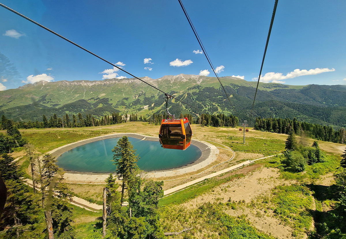 Фото: Shutterstock