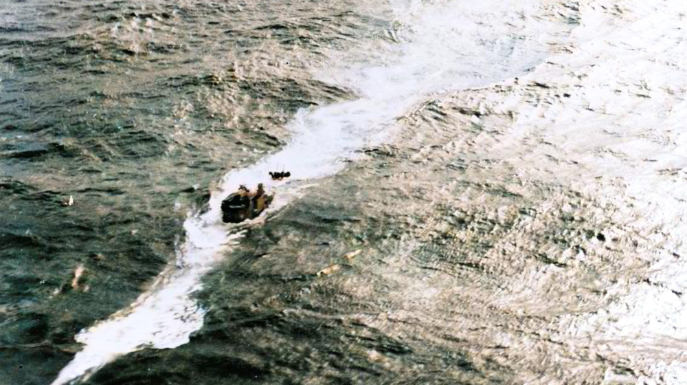    Как из 1196 человек спаслись всего 316 и почему акулы стали их страшной судьбой