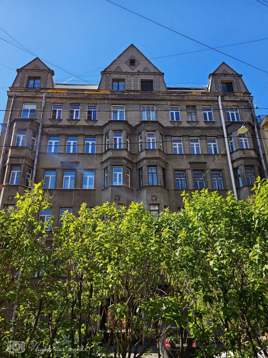 Все дело в сером цвете и трех щипцах. Фото: Парадная гостья