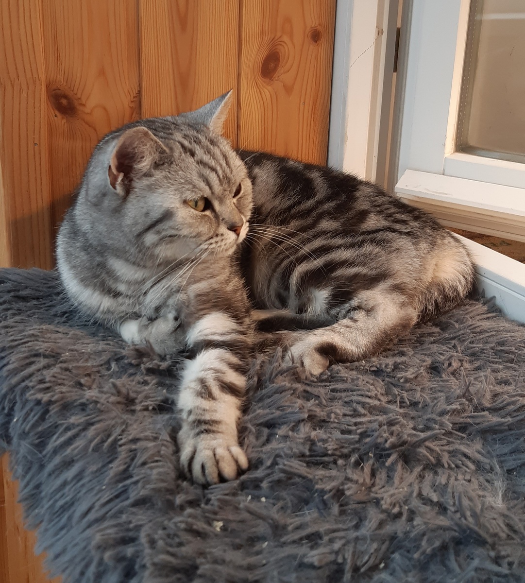 Мия наблюдает за нами.