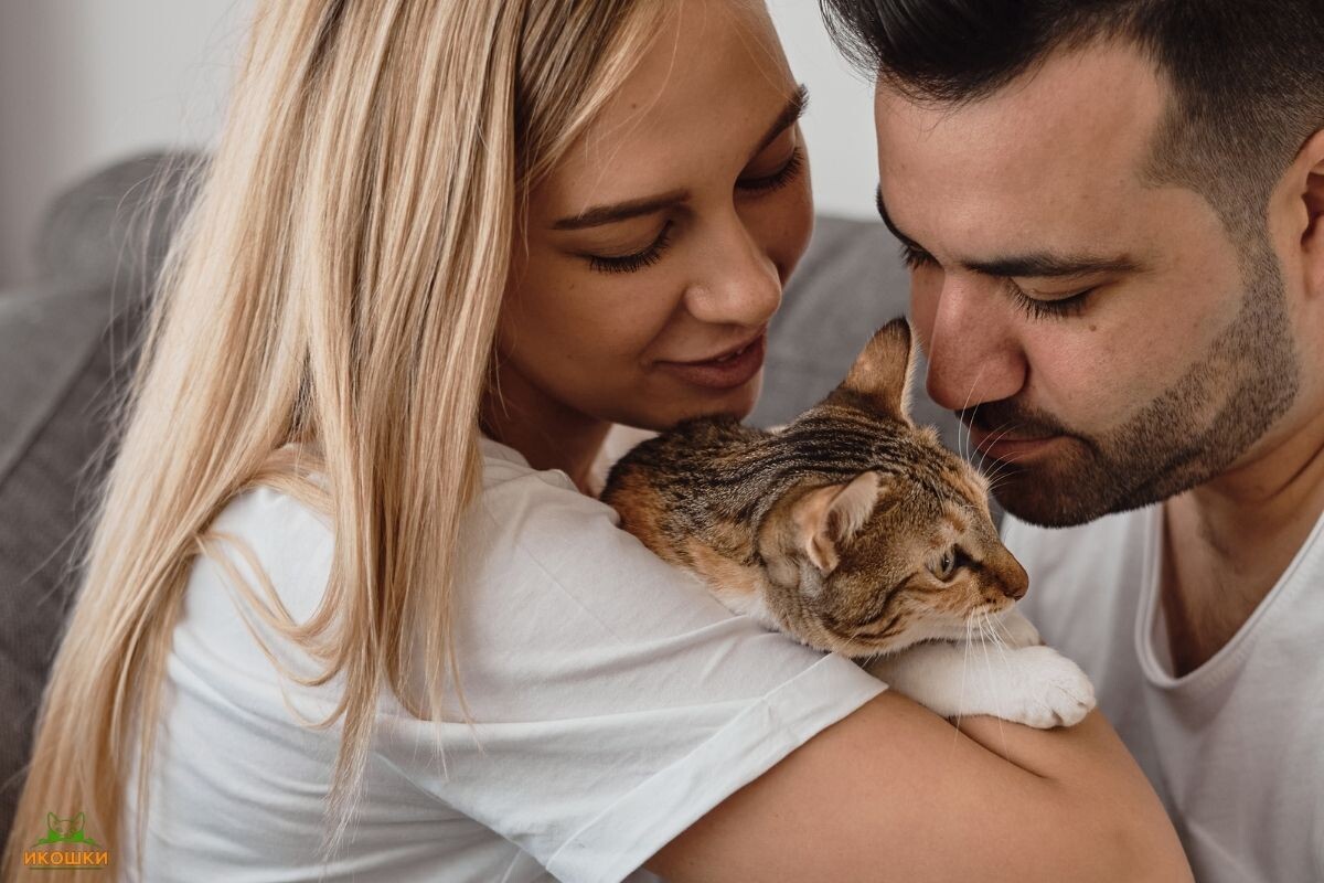Семейная пара с котом 