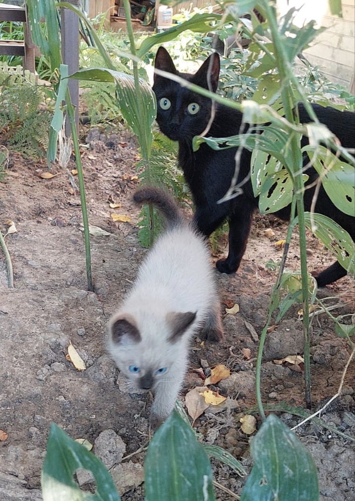 Здесь на фото он со своей мамой 