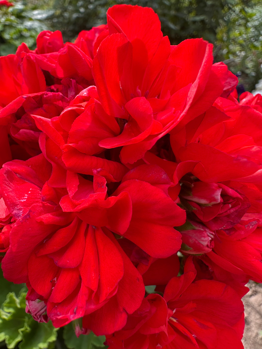 Моя безымяшка🥰