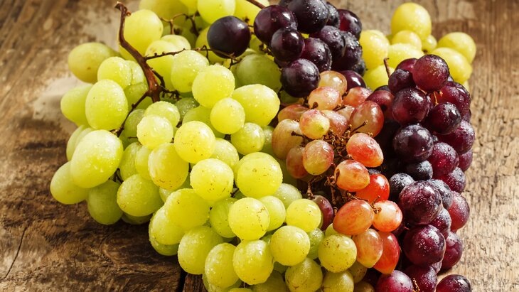 Фото: depositphotos/5PH