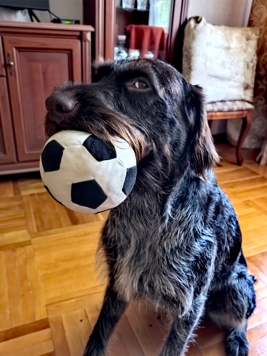 У бабушки с дедушкой тоже норм