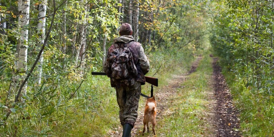 Для получения охотничьего билета в России теперь потребуется пройти тестирование.