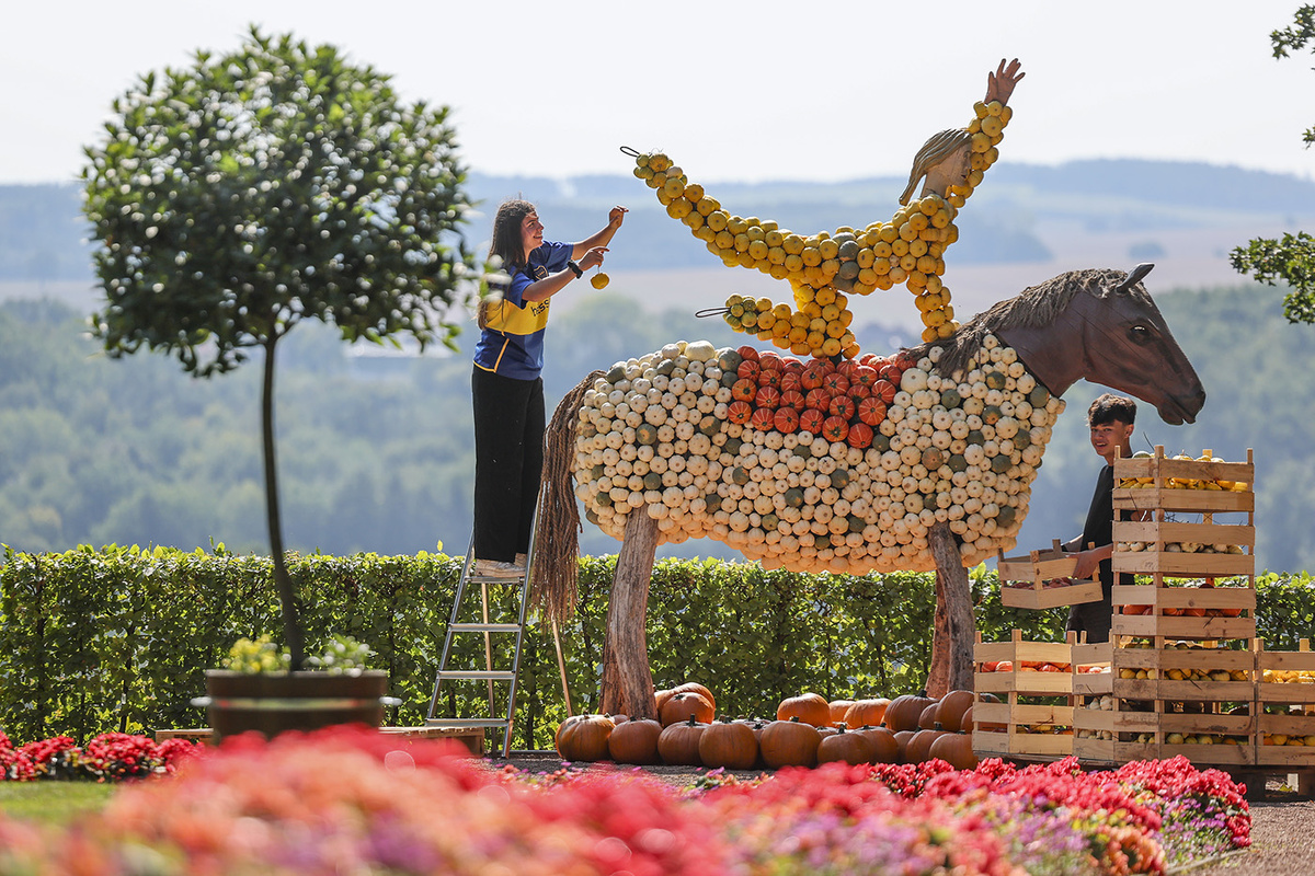   Jan Woitas / DPA / Picture Alliance / TASS