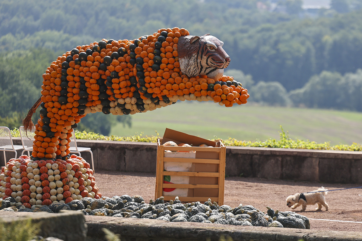    Jan Woitas / DPA / Picture Alliance / TASS