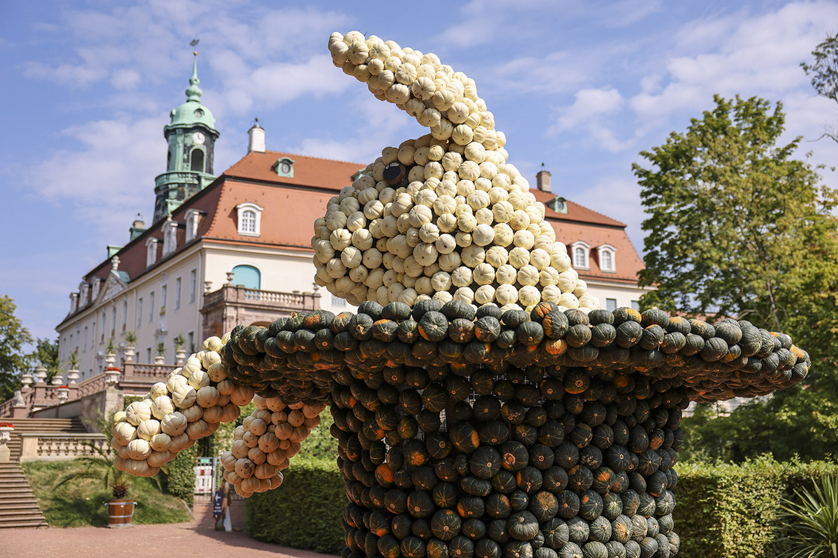     Jan Woitas / DPA / Picture Alliance / TASS