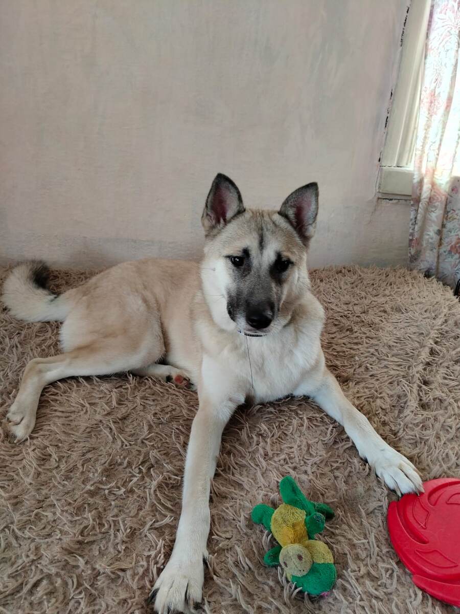 Разве не королева?!