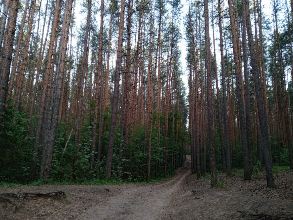    Фото: В курсе.ру Ульяна Бажанова
