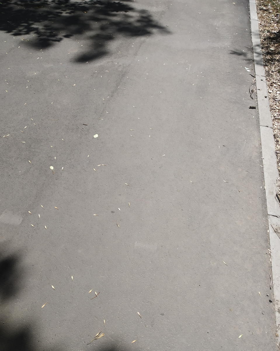 Авторское фото