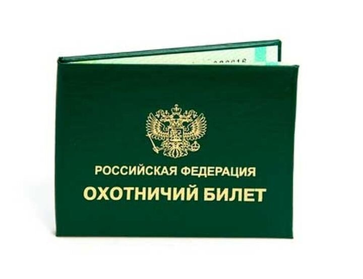 Охотничий билет гражданина РФ. Источник: севлайф.ру.