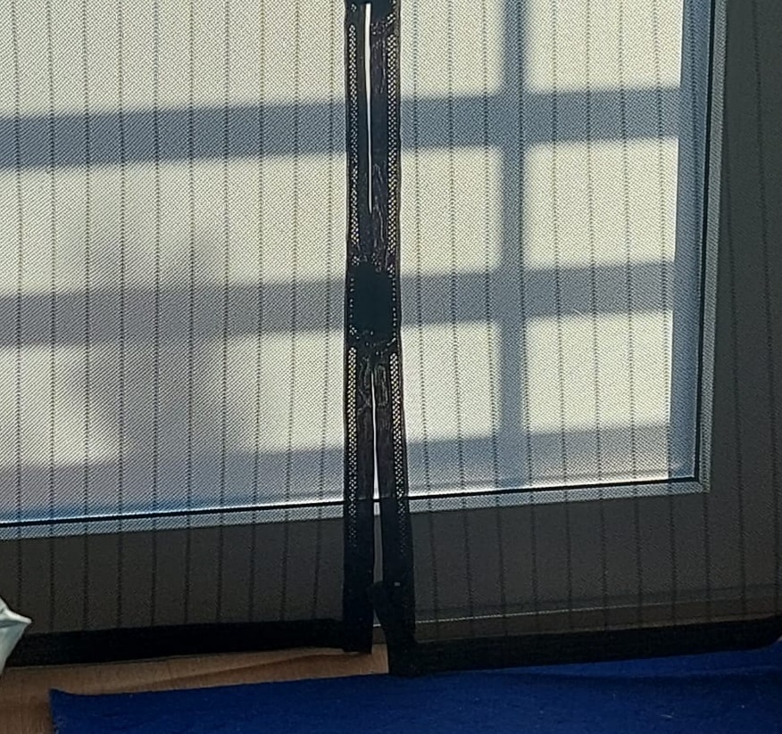 Кот пришёл под утро. Фото автора. 