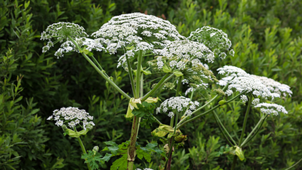    Elena Mayorova/Globallookpress