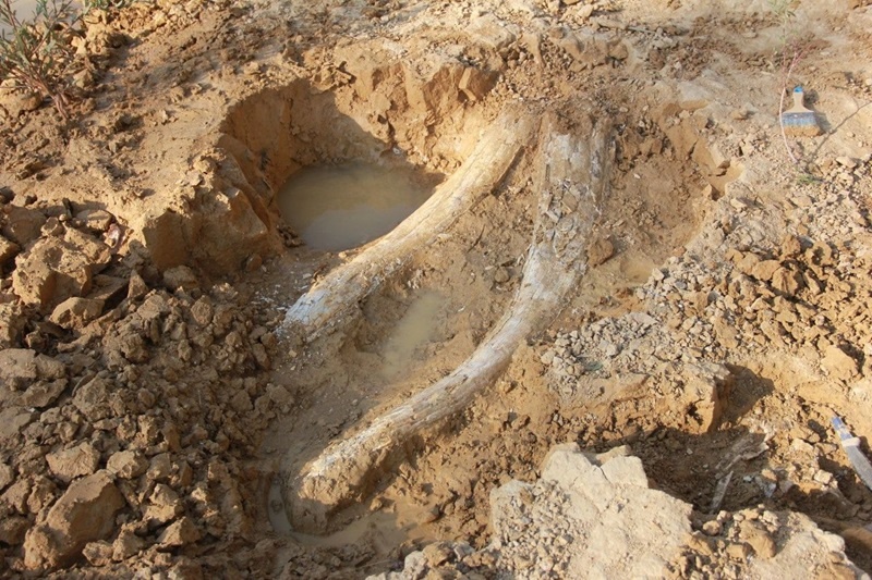    Фото: пресс-служба администрации Абинского района