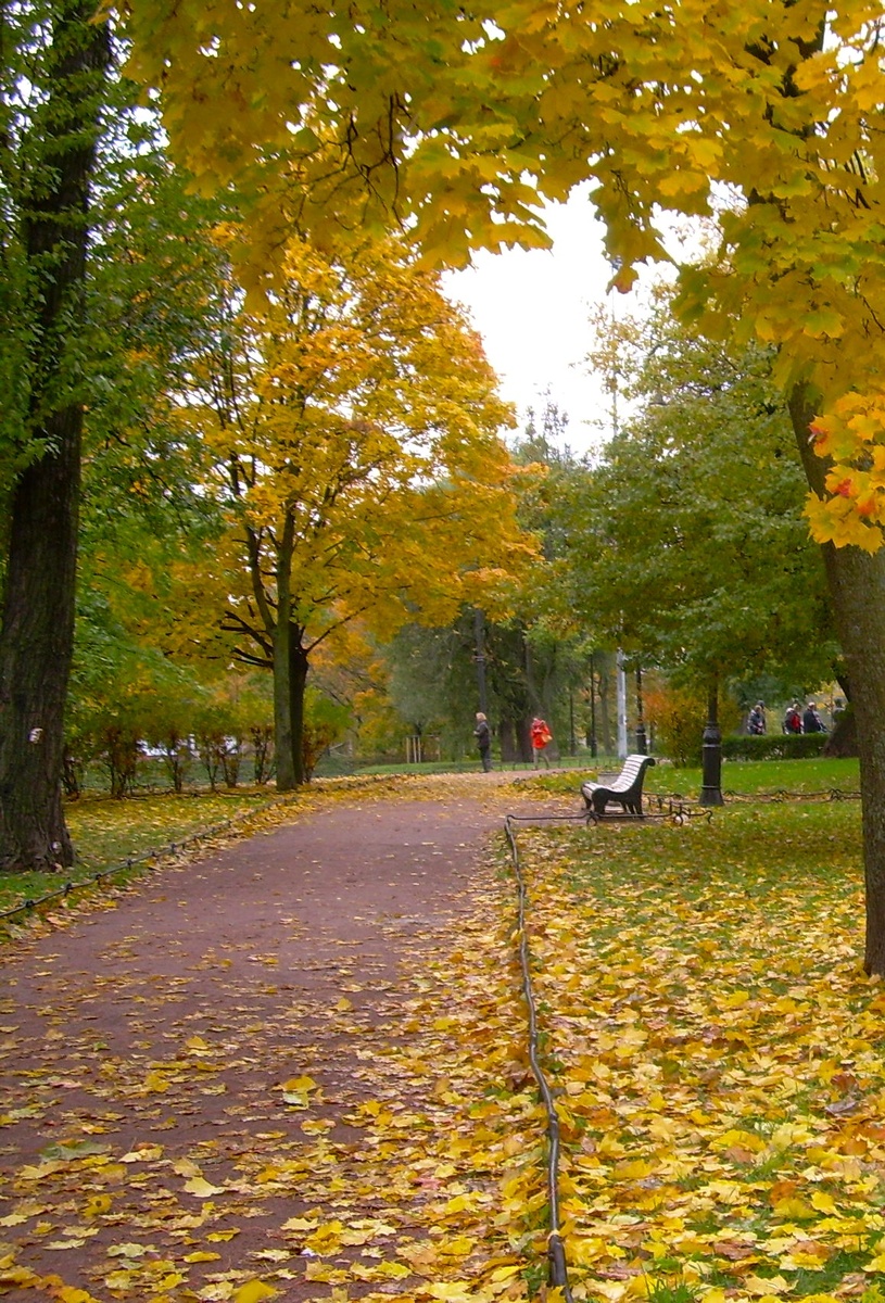 Аллея в Александровском парке в Санкт-Петербурге