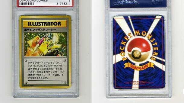 Фото взято из открытых источников 