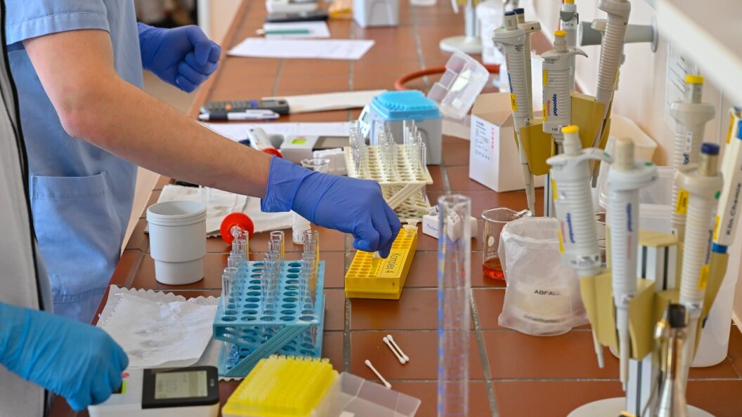    Фото: Patrick Pleul/Globallookpress