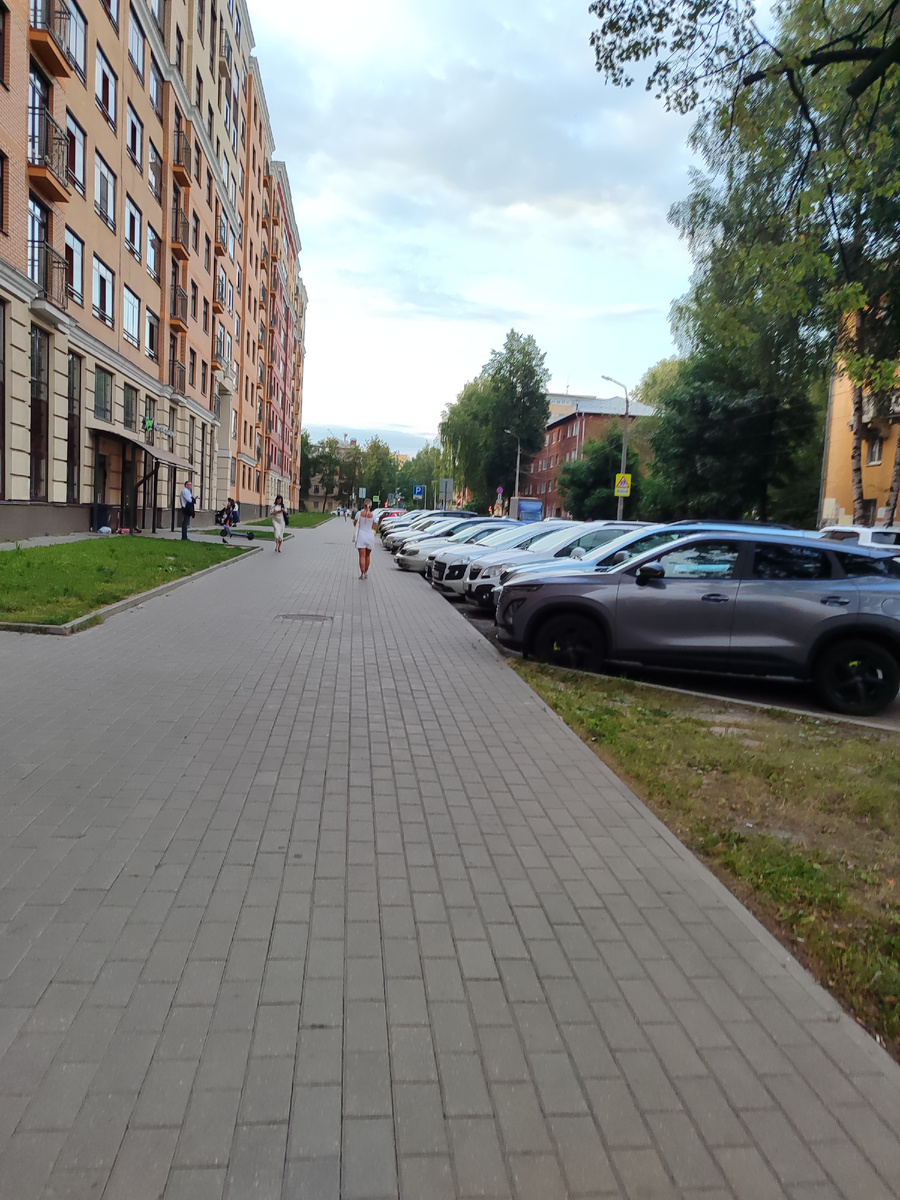 ЖК "Династия", вид по улице Лисицына