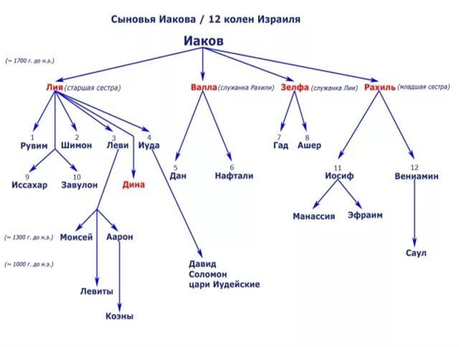 Колена Израилевы Фото из открытого доступа