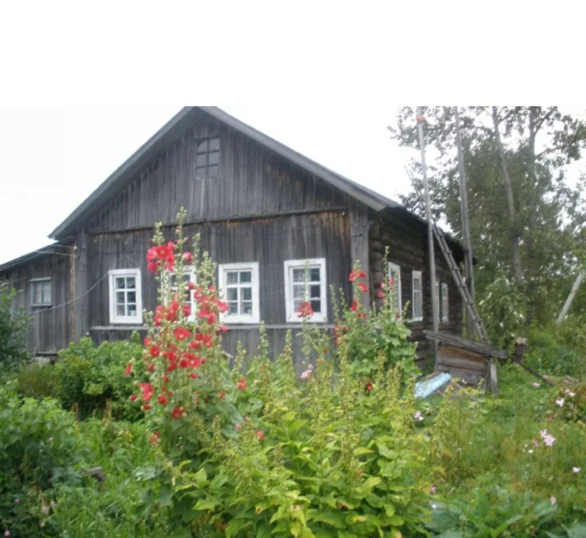 Из интернета.чужлй дом