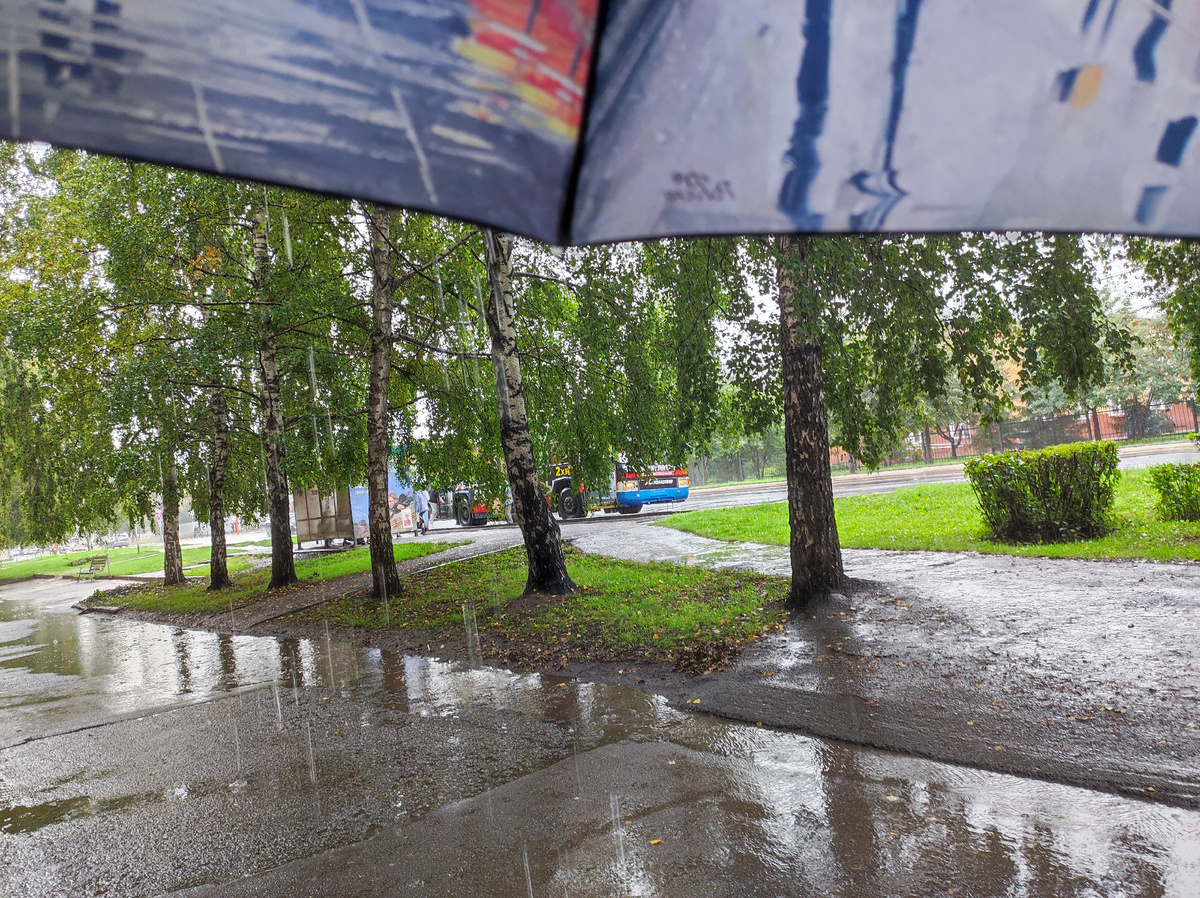 Фото автора 