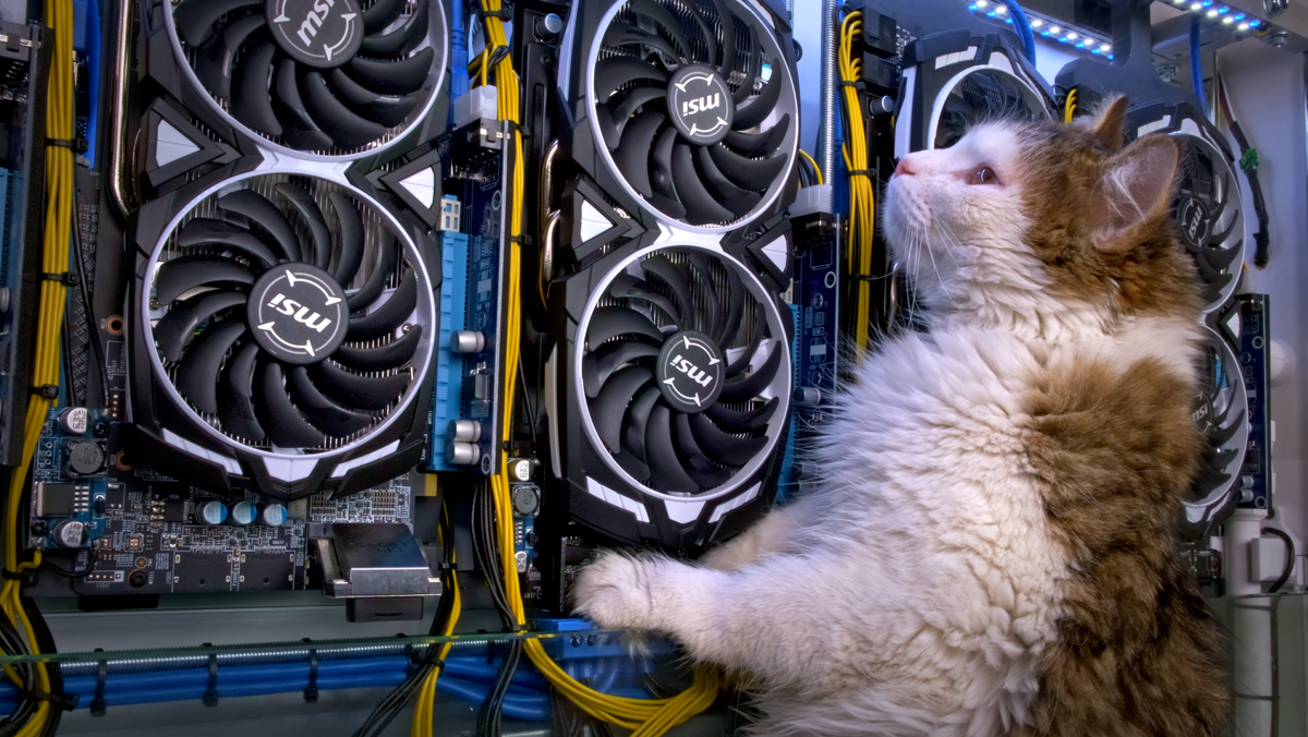 Котики тоже хотят заниматься майнингом ;-)