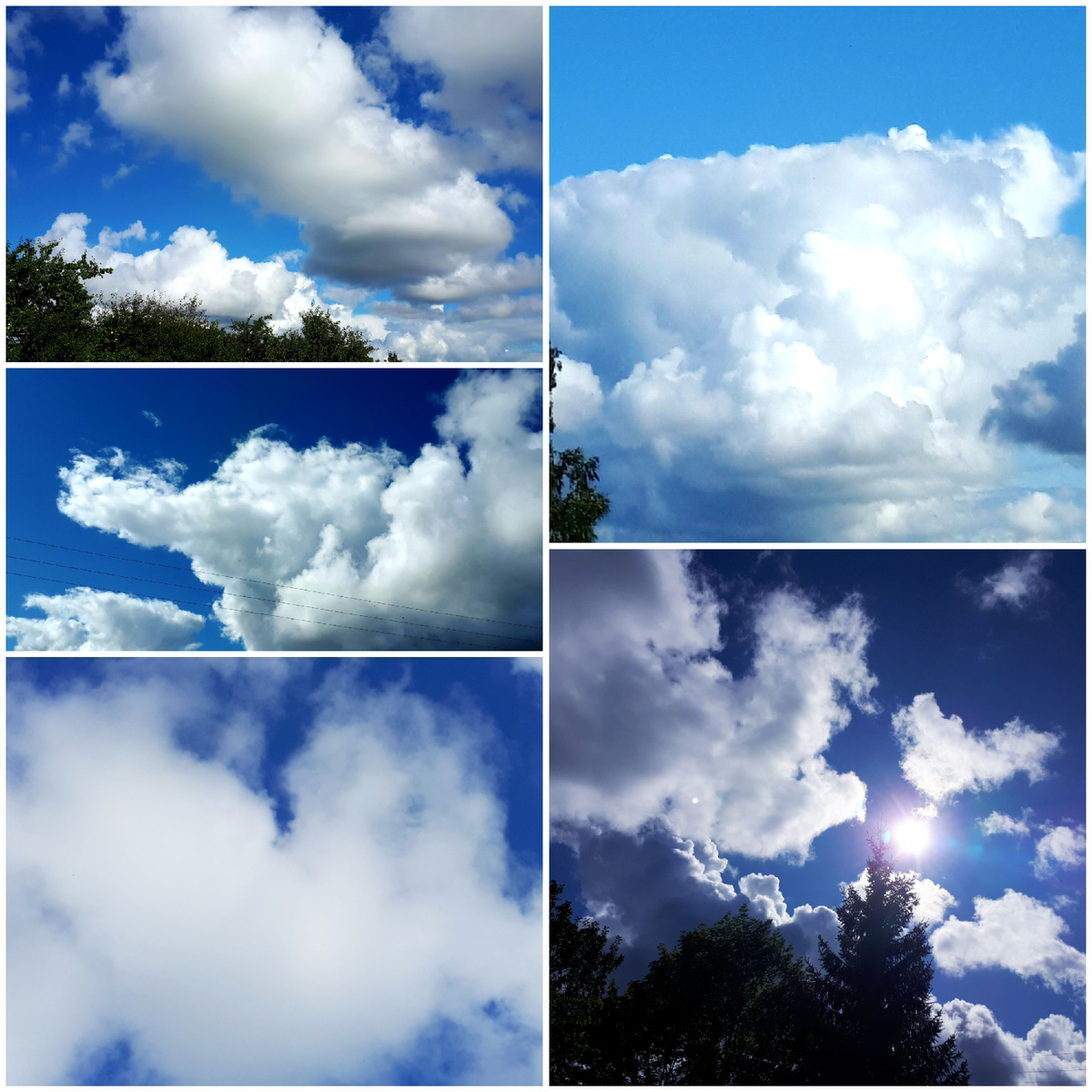 Коллаж автора 27.08.2025г.