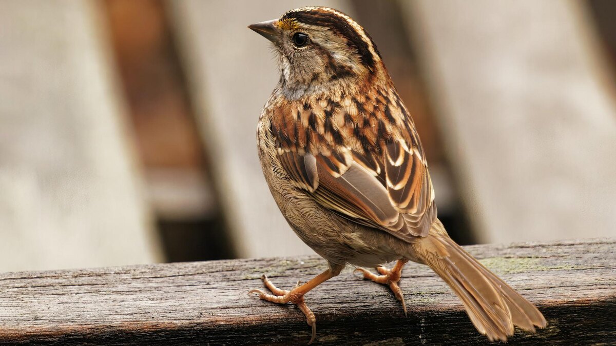    Фото: unsplash.com