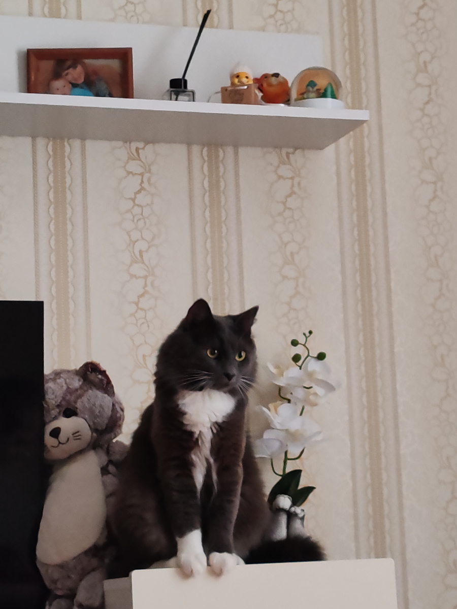 Фото автора канала.