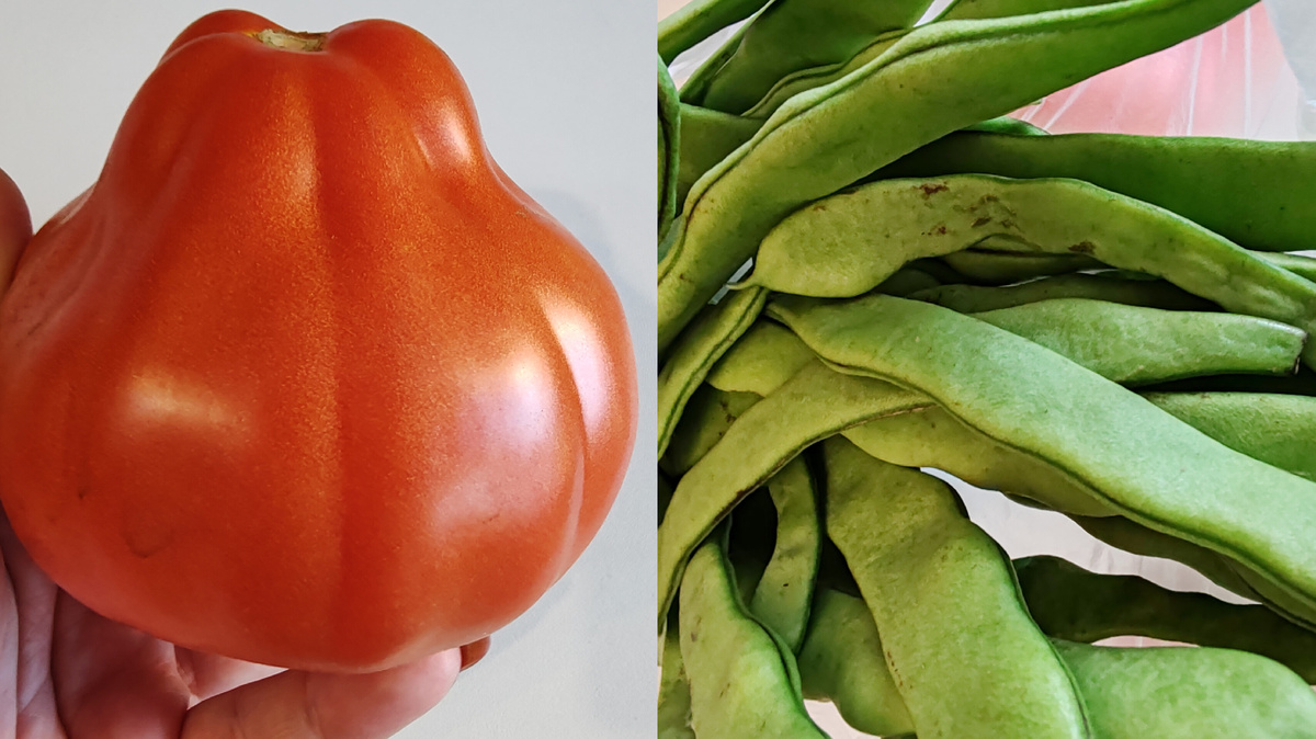 Фото автора канала. 