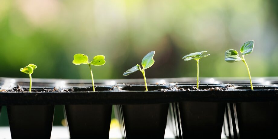    Фото: 123RF/ittipol