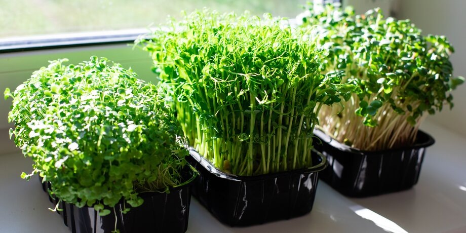    Фото: 123RF/oksix